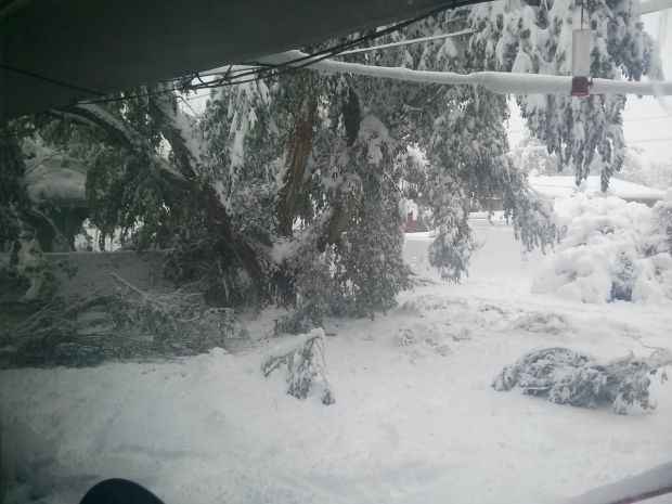 Winter Storm Atlas